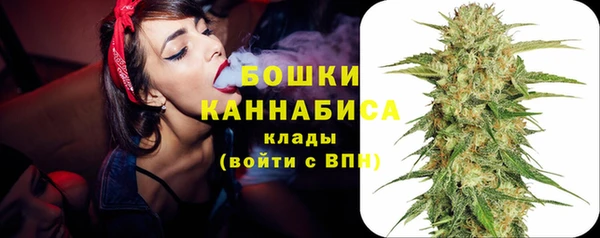 амф Вяземский