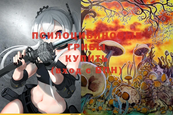 не бодяженный Волосово