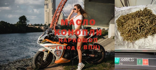 амф Вяземский