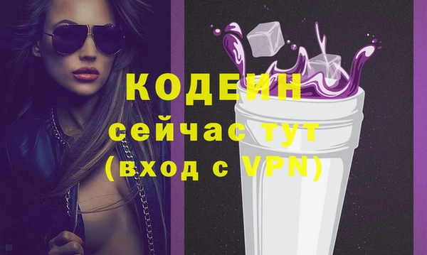 амф Вяземский