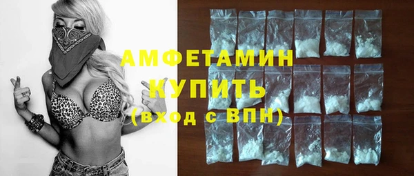 амф Вяземский