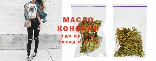 амф Вяземский